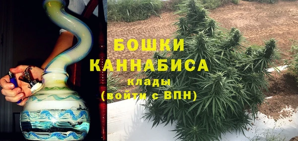 ПСИЛОЦИБИНОВЫЕ ГРИБЫ Киренск