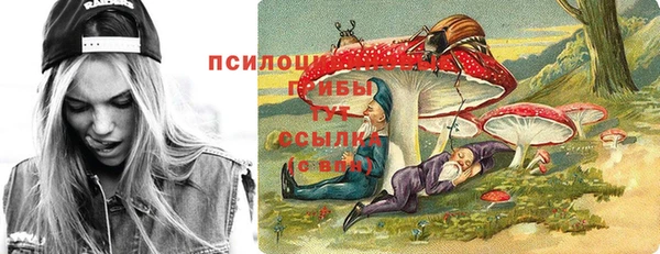 прущий лед Кодинск