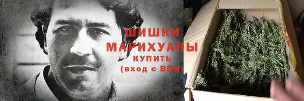 ПСИЛОЦИБИНОВЫЕ ГРИБЫ Киренск